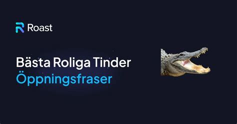 raggningsrepliker tinder till tjejer|Roliga Tinder Öppningsrepliker för att göra dina。